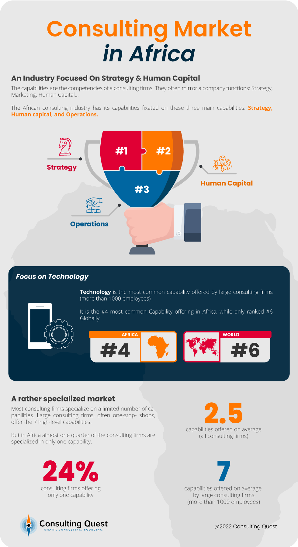 The African Consulting Industry: A Comprehensive Guide 2 Consulting market in Africa
